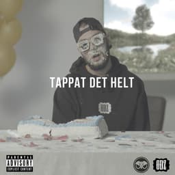 TAPPAT DET HELT-song-image