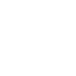 work-experience-logo