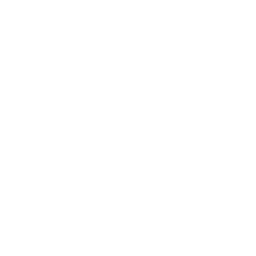 work-experience-logo