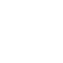 project-logo